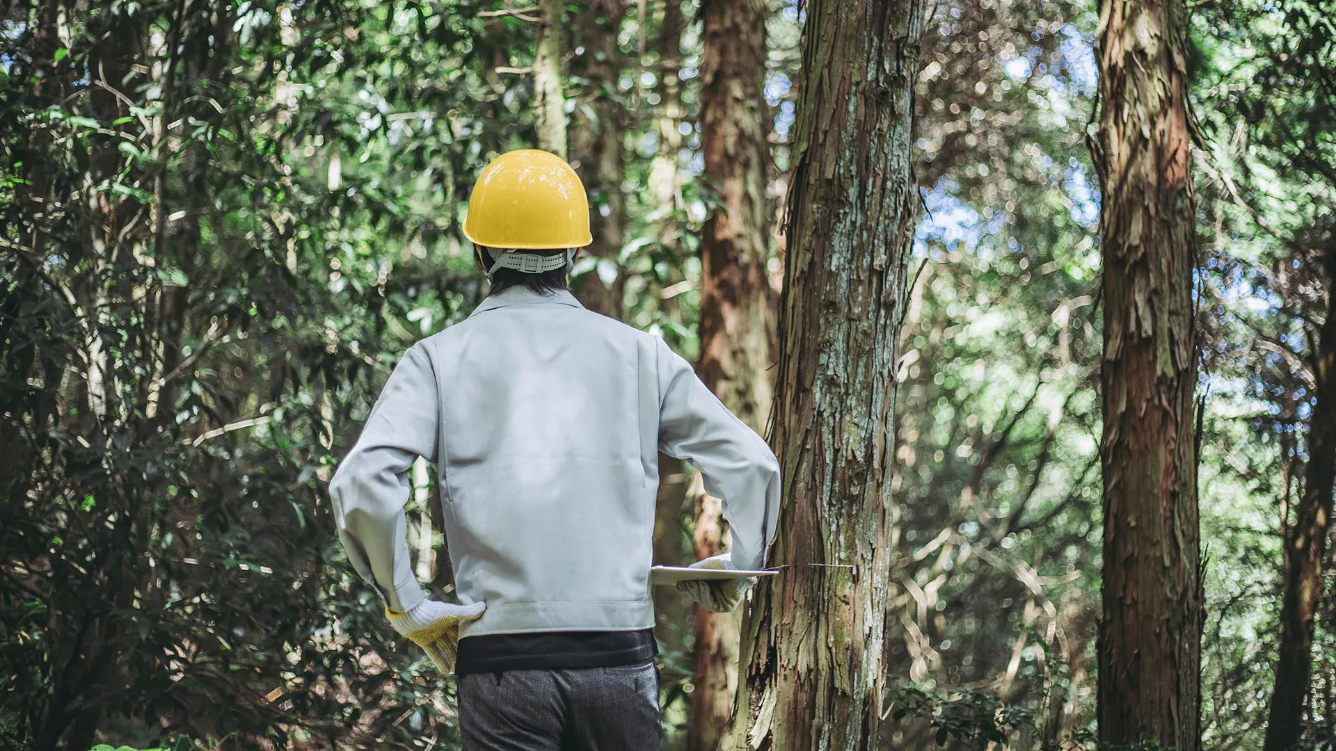 株式会社フォレストコンサル